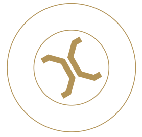 confidence